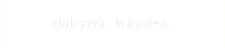 bnrhalf_system_ajito